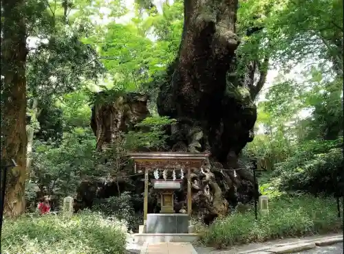 來宮神社(静岡県)