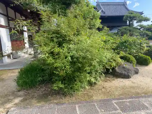 西林寺(愛媛県)