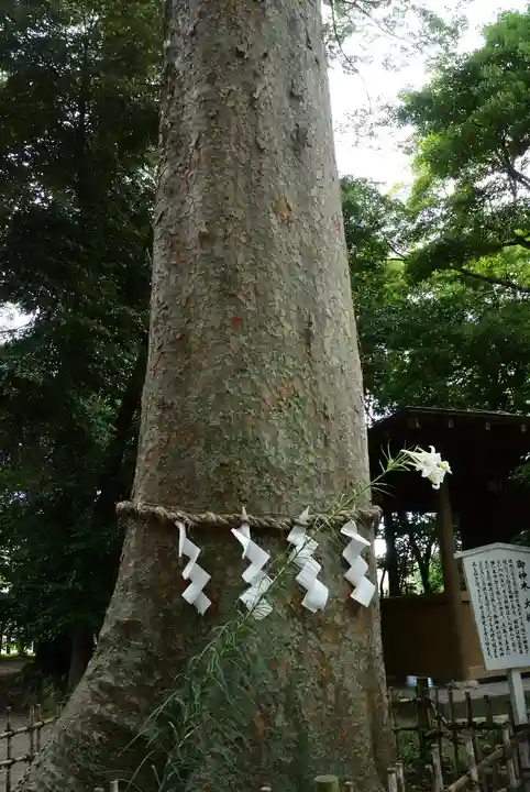 前鳥神社の自然
