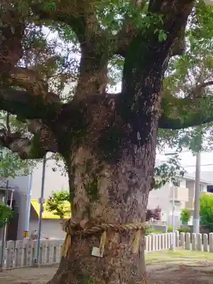 産須那神社(大阪府)
