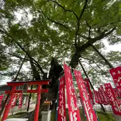 秩父今宮神社の鳥居