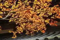 覚苑寺(山口県)