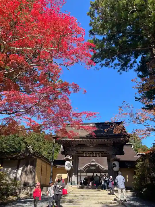高野山金剛峯寺(和歌山県)