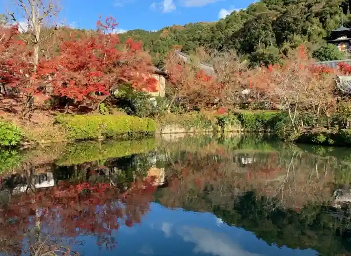 禅林寺(永観堂)の{uncategorized: "未分類", other: "その他", undefined: "問題あり", building: "その他建物", grave: "お墓", sacred_gate: "鳥居", guardian: "狛犬", statue: "像", buddha: "仏像", history: "歴史", nature: "自然", garden: "庭園", animal: "動物", pagoda: "塔", temizu: "手水舎", mountain_gate: "山門・神門", sanctuary: "本殿・本堂", subordinate: "末社・摂社", art: "芸術", scenery: "景色", jizo: "地蔵", ema: "絵馬", goshuin: "御朱印", omikuji: "おみくじ", items: "授与品その他", amulet: "お守り", goshuincho: "御朱印帳", eats: "食事", festival: "お祭り", votive_dance: "神楽", shichigosan: "七五三参", wedding: "結婚式", experience: "体験その他", initially: "初詣", around: "周辺", anti_infection: "感染症対策"}