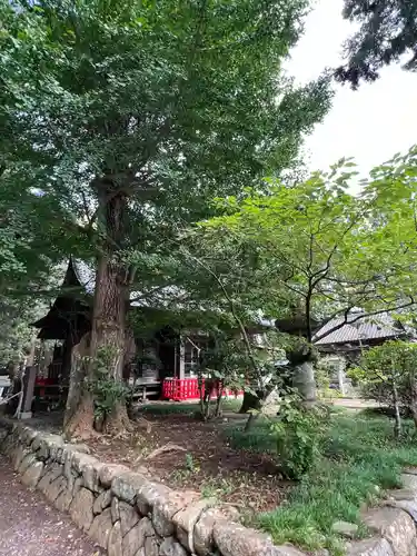 涼ケ岡八幡神社(福島県)