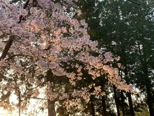 牟禮山観音禅寺の自然