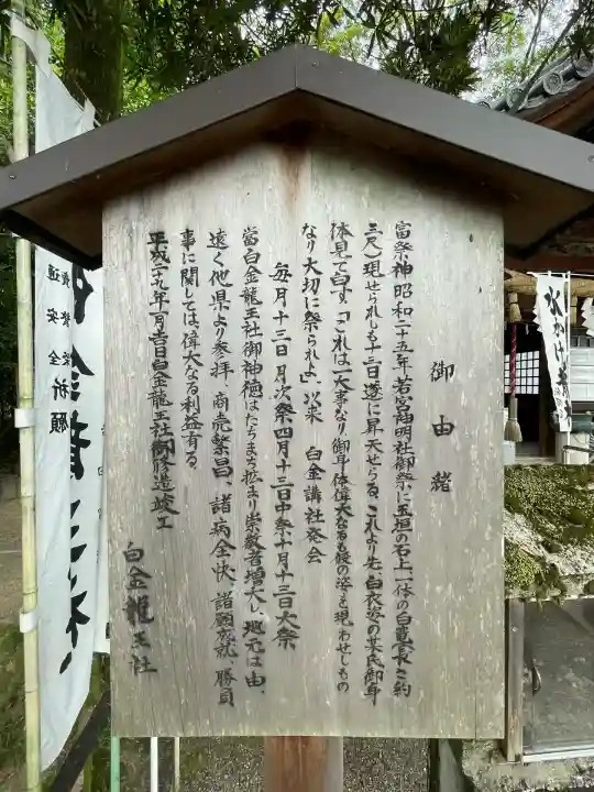 白金龍王社(愛知県)