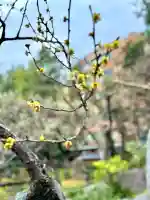 湯島天満宮の{uncategorized: "未分類", other: "その他", undefined: "問題あり", building: "その他建物", grave: "お墓", sacred_gate: "鳥居", guardian: "狛犬", statue: "像", buddha: "仏像", history: "歴史", nature: "自然", garden: "庭園", animal: "動物", pagoda: "塔", temizu: "手水舎", mountain_gate: "山門・神門", sanctuary: "本殿・本堂", subordinate: "末社・摂社", art: "芸術", scenery: "景色", jizo: "地蔵", ema: "絵馬", goshuin: "御朱印", omikuji: "おみくじ", items: "授与品その他", amulet: "お守り", goshuincho: "御朱印帳", eats: "食事", festival: "お祭り", votive_dance: "神楽", shichigosan: "七五三参", wedding: "結婚式", experience: "体験その他", initially: "初詣", around: "周辺", anti_infection: "感染症対策"}