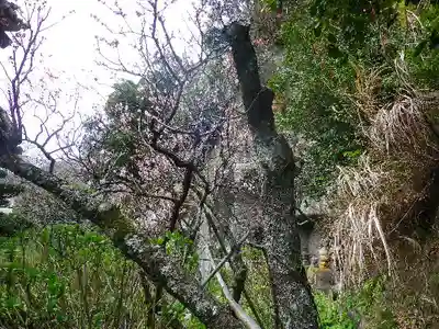 浄光明寺の本殿・本堂