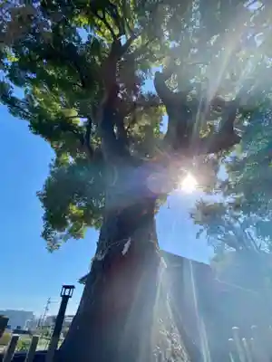 玉田神社(京都府)