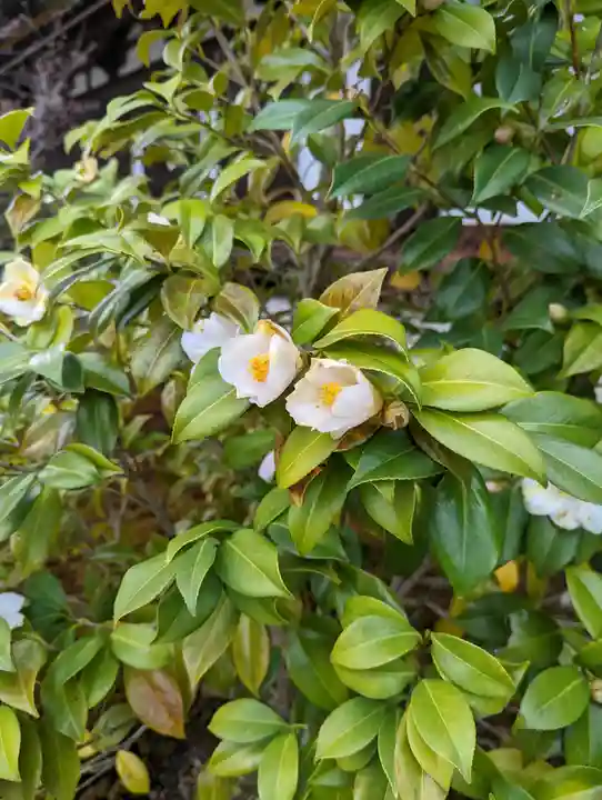 蓮華王院(三十三間堂)(京都府)