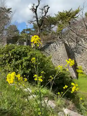 篠山神社(福岡県)