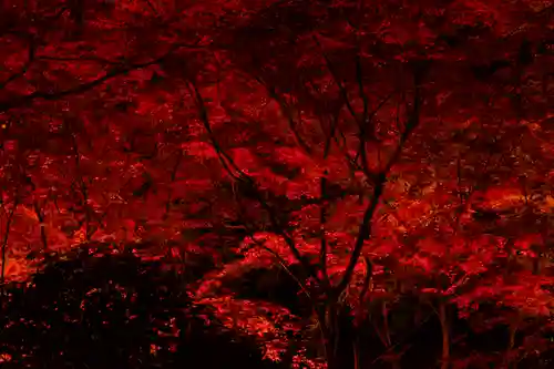 北野天満宮(京都府)