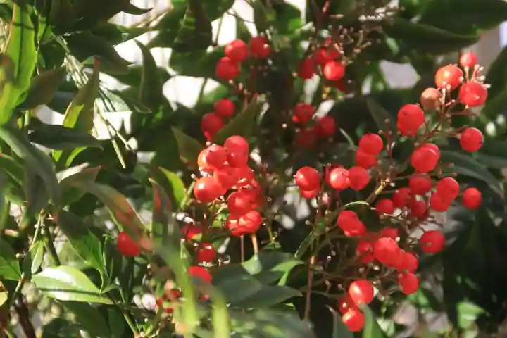 大六天麻王神社の授与品その他