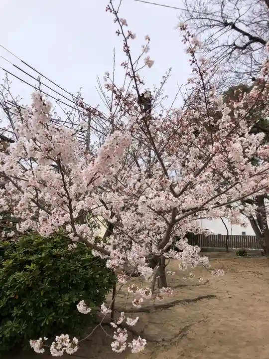 舞子六神社/まいこむの宮の自然