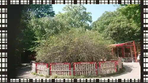 冠稲荷神社(群馬県)