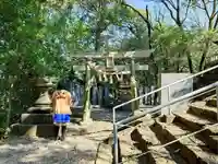 高知県護国神社の鳥居