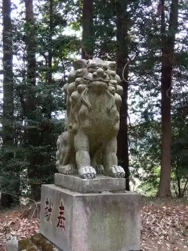 児泉神社の狛犬