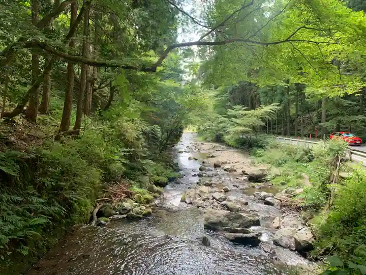 貴船神社奥宮の自然