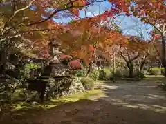 勝持寺（花の寺）(京都府)