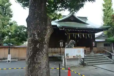 お三の宮日枝神社(神奈川県)