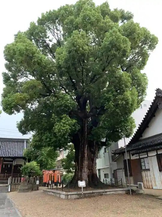 島頭天満宮(大阪府)