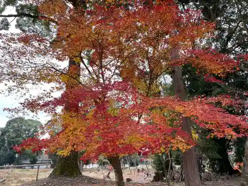 醍醐寺(京都府)