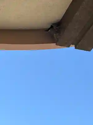 防府天満宮(山口県)