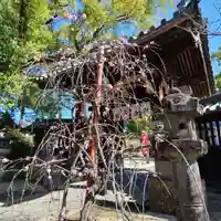 牛嶋天満宮(佐賀県)