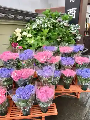 長國寺のお祭り