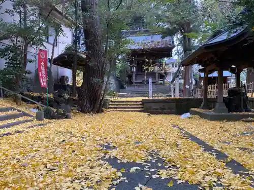 大稲荷神社の自然