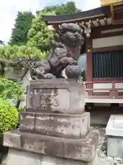 赤塚氷川神社の狛犬