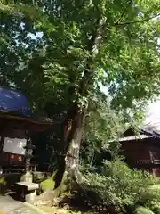 大胡神社(群馬県)