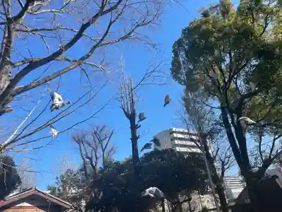 今井神社(千葉県)