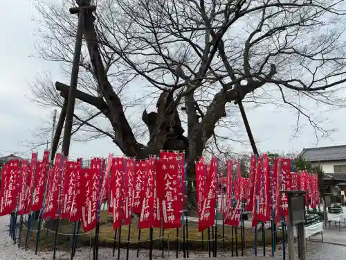 秩父今宮神社の{uncategorized: "未分類", other: "その他", undefined: "問題あり", building: "その他建物", grave: "お墓", sacred_gate: "鳥居", guardian: "狛犬", statue: "像", buddha: "仏像", history: "歴史", nature: "自然", garden: "庭園", animal: "動物", pagoda: "塔", temizu: "手水舎", mountain_gate: "山門・神門", sanctuary: "本殿・本堂", subordinate: "末社・摂社", art: "芸術", scenery: "景色", jizo: "地蔵", ema: "絵馬", goshuin: "御朱印", omikuji: "おみくじ", items: "授与品その他", amulet: "お守り", goshuincho: "御朱印帳", eats: "食事", festival: "お祭り", votive_dance: "神楽", shichigosan: "七五三参", wedding: "結婚式", experience: "体験その他", initially: "初詣", around: "周辺", anti_infection: "感染症対策"}