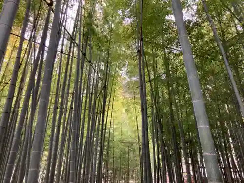 報国寺(神奈川県)