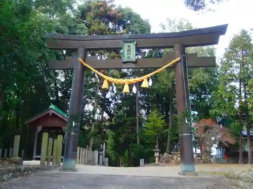 土田白鬚神社の鳥居