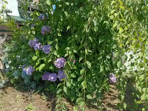 水天宮(茨城県)