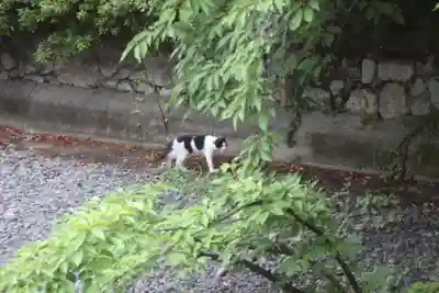 誕生水弁財天(京都府)