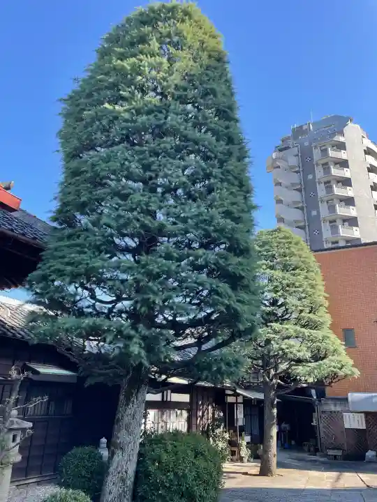 浩妙寺の{uncategorized: "未分類", other: "その他", undefined: "問題あり", building: "その他建物", grave: "お墓", sacred_gate: "鳥居", guardian: "狛犬", statue: "像", buddha: "仏像", history: "歴史", nature: "自然", garden: "庭園", animal: "動物", pagoda: "塔", temizu: "手水舎", mountain_gate: "山門・神門", sanctuary: "本殿・本堂", subordinate: "末社・摂社", art: "芸術", scenery: "景色", jizo: "地蔵", ema: "絵馬", goshuin: "御朱印", omikuji: "おみくじ", items: "授与品その他", amulet: "お守り", goshuincho: "御朱印帳", eats: "食事", festival: "お祭り", votive_dance: "神楽", shichigosan: "七五三参", wedding: "結婚式", experience: "体験その他", initially: "初詣", around: "周辺", anti_infection: "感染症対策"}
