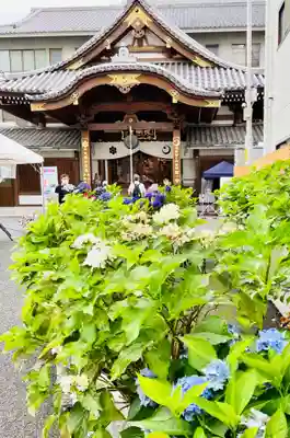 長國寺の本殿・本堂