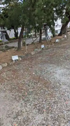 手筒花火発祥の地 吉田神社の周辺