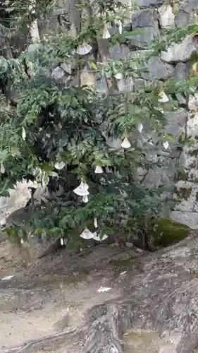 新宮神社(京都府)