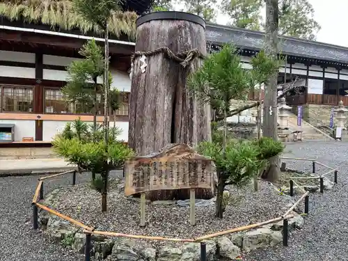 伊太祁曽神社(和歌山県)