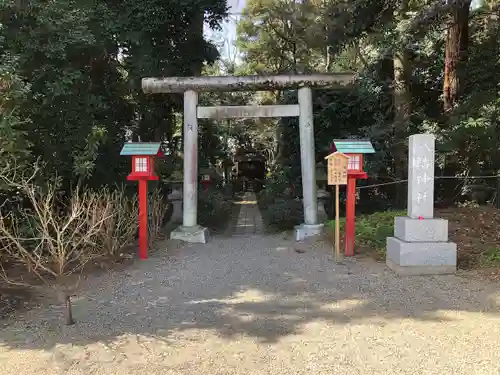 鷲宮神社(埼玉県)