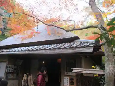 祇王寺(京都府)