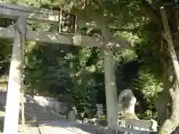 泉神社の鳥居