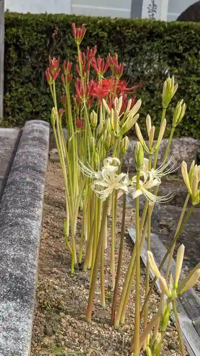 後白河院御聖蹟 法住寺(京都府)