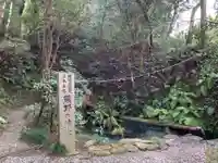 熊野神社の自然