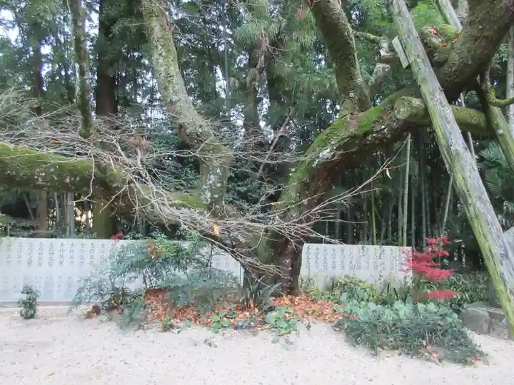 三角寺(愛媛県)